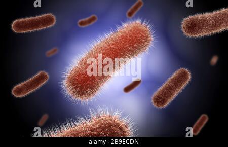 Konzeptionelles Bild der Bacillus Bakterien. Stockfoto