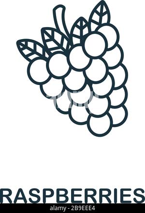 Himbeeren - Symbol aus der Obstsammlung. Einfaches Linienelement Himbeeren Symbol für Vorlagen, Webdesign und Infografiken Stock Vektor