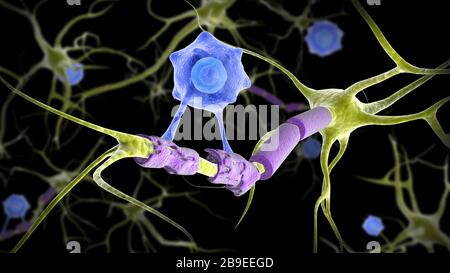 Konzeptionelles Bild eines Multiplen Sklerose-Neurons, das von einer T-Zelle geheilt wird. Stockfoto