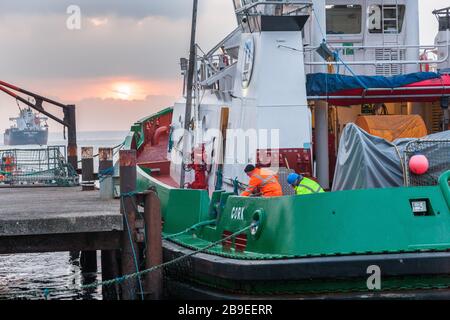 Cobh, Cork, Irland. März 2020. Patrick McCleod und Rory O' Rourke, Besatzungsmitglieder des DSG-Schleppschiffs Alex, binden ihr Boot, nachdem sie den in Riga gebundenen Massengutfrachter Ocean Breeze aus dem Hafen in Cobh, Co. Cork, Irland, eskortiert haben. -Credit; David Creedon / Alamy Live News Stockfoto