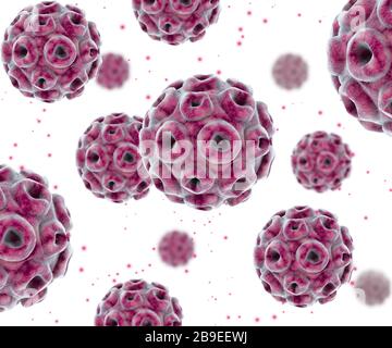 Konzeptionelles Bild des humanen Papillomavirus-Infektionsvirus. Stockfoto