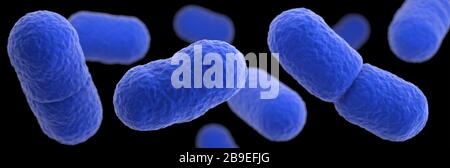 3D-Darstellung einer Gruppierung von Listeria monocytogenes Bakterium. Stockfoto