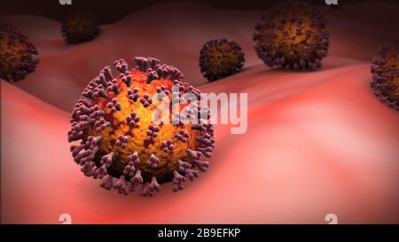 COVID-19 Coronavirus im menschlichen Körper. Stockfoto