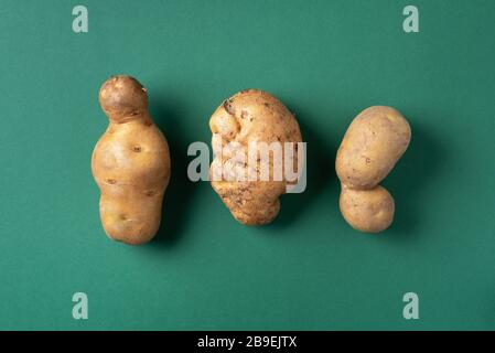 Hässliche Kartoffeln auf grünem Grund. Hässliches, unnormales Gemüse-, Null Abfall- und plastikfreies Konzept. Draufsicht. Kopierbereich Stockfoto