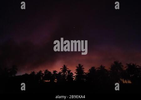 Rauch aus einem Lagerfeuer in einem Regenwald bei Sonnenuntergang. Brände im Wald. Rauch auf dem Hintergrund von Palmen bei Sonnenuntergang. Stockfoto