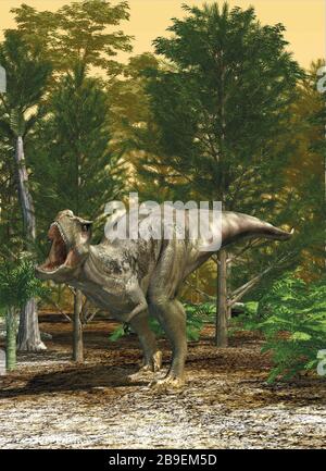 3D-Darstellung eines Dinosauriers T-rex, der in einem Nadelwald brüllt. Stockfoto
