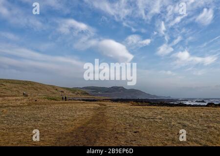 Blick nach Norden auf den Küstenweg zwischen Gourdon und Inverbervie an der Ostküste Schottlands, mit Hundewanderern in der Ferne. Stockfoto