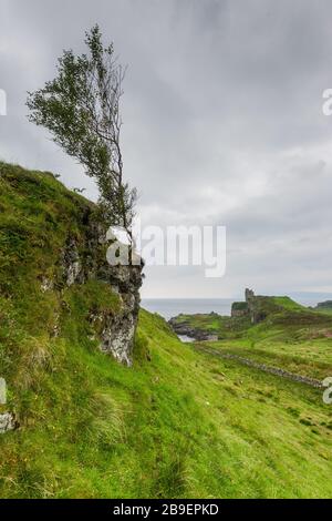 Burgruine Gylen auf der Insel Kerrera Stockfoto