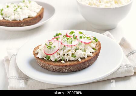 Vorspeise mit Quark, Rettich und grüner Zwiebel auf weißem Teller Stockfoto