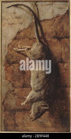 "AUGUSTE-CHARPENTIER - RAT" DIENTE FRÜHER ALS LEBENSMITTEL FÜR DEN SITZ VON PARIS "AUGUSTE-CHARPENTIER" (1813-1880). "Ratte ayant servi à l'alimentation Pendant le siège de Paris" (guerre franco-prussienne), 1870, Huile sur toile, Paris, musée Carnavalet. Stockfoto