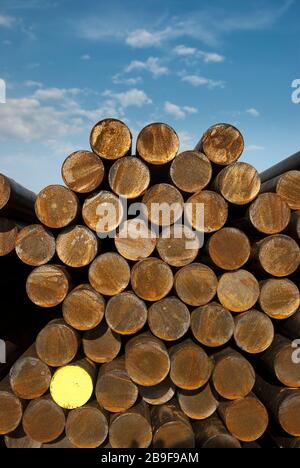 Rohstoff, Stahl, Rundstahl auf Lager, Metall Stockfoto