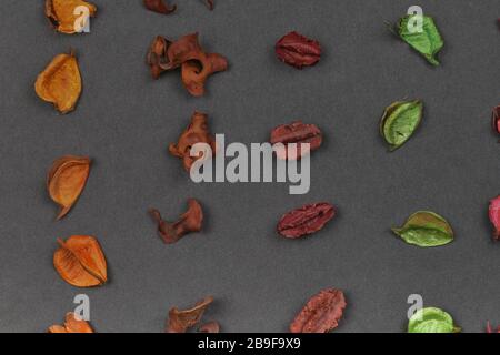 Getrocknete aromatische Pflanzenteile, getrocknete Blumen, getrockneter Duft. Geometrisches Muster - Raws. Nahaufnahme Stockfoto