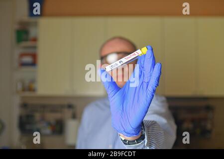 Die Probe von Covid 19 im Reagenzglas. Doktor - Epidemiologe, der das Probenröhrchen mit einer Probe des Coronavirus hält Stockfoto