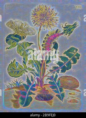 Paardebloem, de Europäische Insektengifte, Merian, Maria Sibilla, 1647-1717, Transferdruck, handfarbig, 1730, Dandelion, mit Raupe, von Gibon neu vorgestellt, Design von warmfröhlichem Leuchten von Helligkeit und Lichtstrahlen. Klassische Kunst mit moderner Note neu erfunden. Fotografie, inspiriert vom Futurismus, die dynamische Energie moderner Technologie, Bewegung, Geschwindigkeit und Kultur revolutionieren. Stockfoto