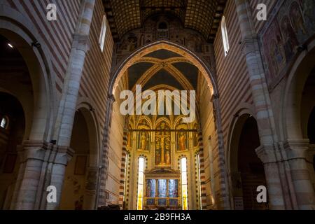 Ein Blick auf das Kirchenschiff führt zur Basilika San Zeno in Verona, Italien Stockfoto