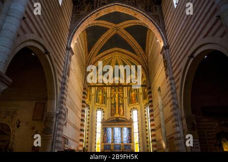 Ein Blick auf das Kirchenschiff führt zur Basilika San Zeno in Verona, Italien Stockfoto