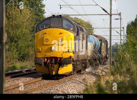 Ein Paar der DRS-Diesellokomotiven der Klasse 37 mit den Nummern 37194 und 37087 TOP und Tailing eines Schienenkopfbehandlungszugs am Margareting Crossing in Essex. Stockfoto