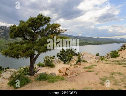 Pinienkamm Naturgebiet und Horsetooth Reservoir Höhe 5400 Fuß Fort Collins Colorado USA Stockfoto