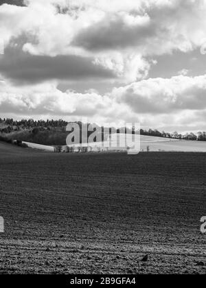 The Chiltern Hills, AONB, Black and White Landscape, Winter Sky's, vom Ridgeway National Trail, Nufied, Oxfordshire, England, Großbritannien und GB aus betrachtet. Stockfoto