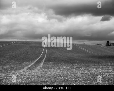 The Chiltern Hills, AONB, Black and White Landscape, Winter Sky's, vom Ridgeway National Trail, Nufied, Oxfordshire, England, Großbritannien und GB aus betrachtet. Stockfoto