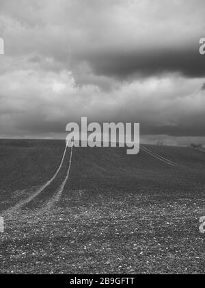 The Chiltern Hills, AONB, Black and White Landscape, Winter Sky's, vom Ridgeway National Trail, Nufied, Oxfordshire, England, Großbritannien und GB aus betrachtet. Stockfoto