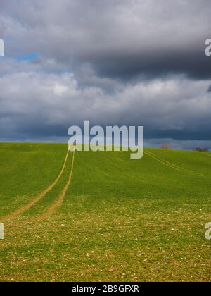 CHILTERN Hills, Chiltern Hills AONB, Chilterns, Landscape NR Nuffield, Oxfordshire, England, Großbritannien, GB. Stockfoto