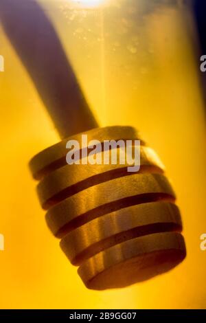 Ein hölzerner Honigtriesler tauchte in ein Glas klaren Honigs zurück beleuchtet durch goldenes transparentes Licht. Stockfoto