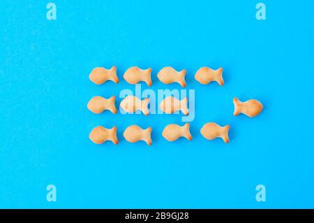 Knackige Fischknacker auf blauem Grund. Einzigartige Sicht, Individualität und eigenständiges Symbol. Stockfoto