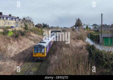 Die ehemalige Bahnklasse 142 der Northern Rail trainiert 142060 + 142028 bei Leyburn, Wensleydale Railway, die ihren ersten Lauf in der Erhaltung machte Stockfoto