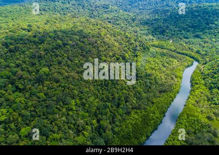 Fluss im tropischen Mangroven grüner Baumwald Luftbild Stockfoto