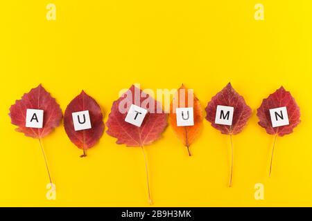 Hallo Herbstinschrift mit orangefarbenem Blatt. Creative Top View Flat Lay Herbst Konzept Komposition. Copy Space with Text Autumn. Herbstsaison Banner-Temp Stockfoto