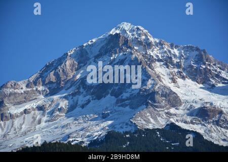 Der Gipfel des Mount Hood, Oregon höchster Berg, vom Upper Sandy River aus gesehen auf dem Ramona Falls Trail in der Mt Hood Wilderness. Stockfoto