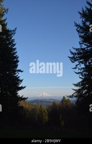 MT Hood, Oregon, Blick vom Naturpark Scouter Mountain, Portland, Oregon Stockfoto