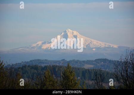 MT Hood, Oregon, Blick vom Naturpark Scouter Mountain, Portland, Oregon Stockfoto