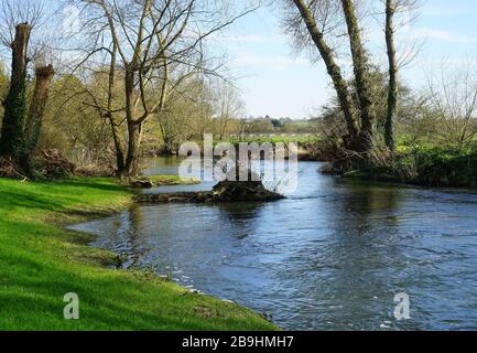 Der Fluss Great Ouse in Harrold Stockfoto