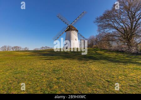 Krefeld-Traar-Nahaufnahme zur Egelsberg-Mühle im Frühjahr, Nordrhein-Westfalen, Deutschland, 22.03.2020 Stockfoto