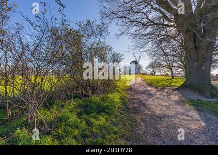 Krefeld-Traar - Blick auf Egelsberg-Mühle von beiseite im Frühjahr, Nordrhein-Westfalen, Deutschland, 22.03.2020 Stockfoto