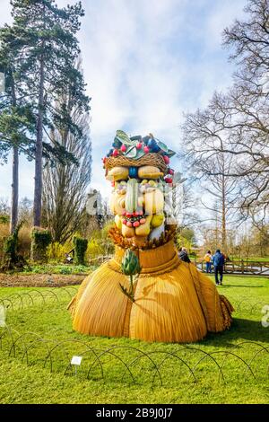 Ungewöhnliche Skulptur des Künstlers Philip Haas: Ein Kopf aus einer Sammlung von Gemüse, ausgestellt im RHS Garden, Wisley, Surrey Stockfoto