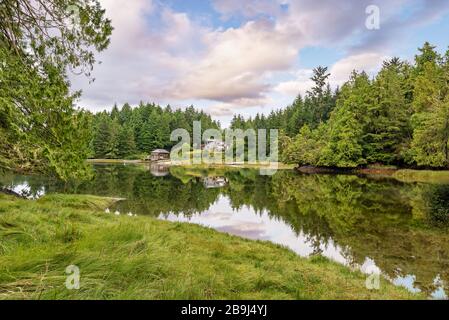 Frühlingskuve in Ucluelet in der Nähe von Tofino, Vancouver Island, British Columbia Stockfoto