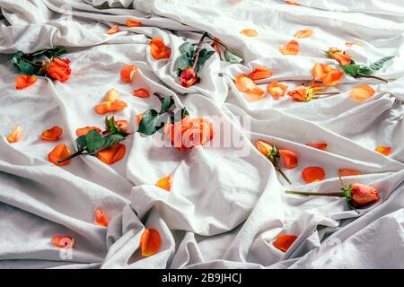 Weiches weißes Bettzeug mit orangefarbenen roten Rosen und Kronblättern. Stockfoto