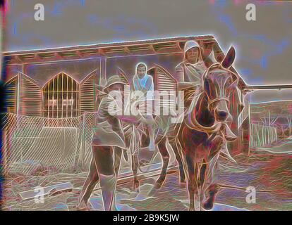 Nahalal. Girls' landwirtschaftliche Ausbildung Schule. Die maultiere Pflug. 1920, Israel, Nahalal Stockfoto
