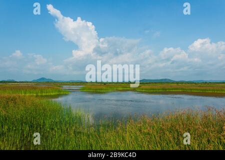 Der Bokor Mountain National Park in Kampot, Kambodscha Stockfoto