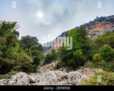 Weg nach Cala Goloritzé, der zum berühmten Strand führt Stockfoto