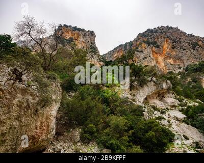 Zerklüftete Landschaft entlang des Cala Goloritzé Pfades, der zum berühmten Strand führt Stockfoto