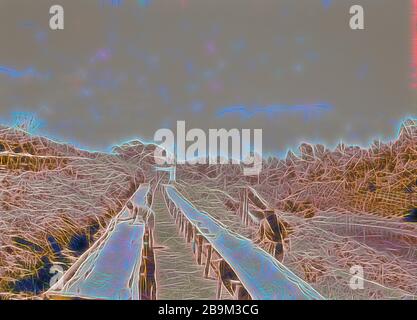 Plantagen in Kenia Kolonie. Trocknen die Fächer auf einer Kaffeeplantage. Close Up. 1936, Kenia Stockfoto