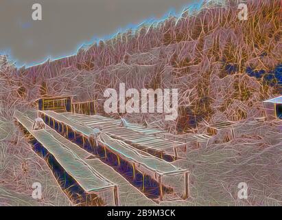 Plantagen in Kenia Kolonie. Trocknen die Fächer auf einer Kaffeeplantage. Close Up. 1936, Kenia Stockfoto