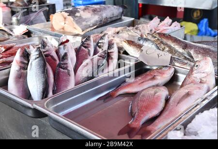 Fischmarkt, frischer Fisch auf dem Straßenmarkt, Lebensmittelmarkt in Marsaxlokk, Malta. Meeresfrüchte. Frisches Fischroh auf dem Markt. Marsaxlokk, Malta Stockfoto