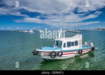 Boote im Hafen von Veracruz, Golf von Mexiko, Hafen von Veracruz, Mexiko Stockfoto