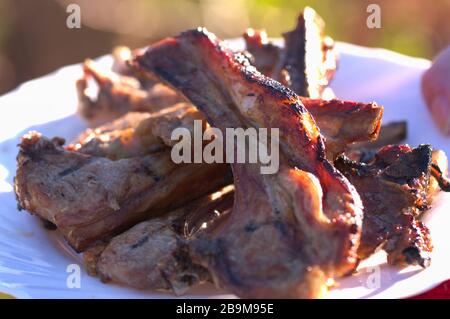 Ein Teller mit Fleischkoteletts, der auf einem von der Sonne hinterleuchteten Landesgrill zubereitet wird Stockfoto
