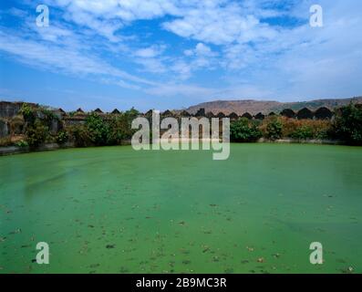 Alibag India Kolaba Fort (Murud-Janjira) Innentank Stagnierendes Wasser - Grüne Algen Stockfoto